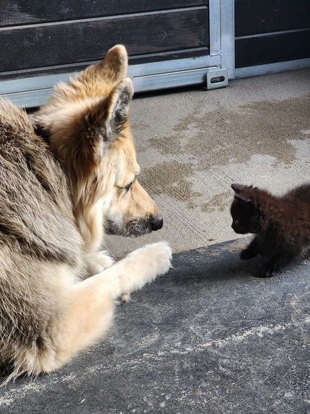 Sina & Briar 
