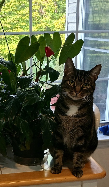 Chloe 
