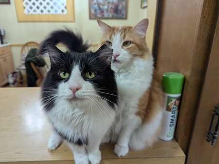 Entry image for Michael and Blaze. Clicking this image will show a larger photo