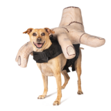 Entry image for Timon as "Thing" Parade Mascot 2024
