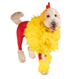 Entry image for Rowdy Rooster The 2023 Parade Mascot