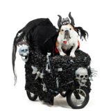 Entry image for Herman, Prince of Darkness, The 2025 Parade Mascot