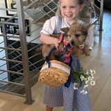 Entry image for Valentine as Toto with Dorothy !!! 