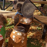Entry image for Burton German Lederhosen 