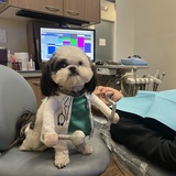 Entry image for Marley DDS (dentist)