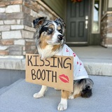 Entry image for Zero Fox the Kissing Booth 