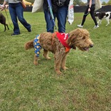 Entry image for Otis
