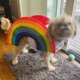 Entry image for Derek as a rainbow 🌈 