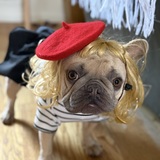 Entry image for Ella the Parisian Frenchie 