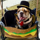 Entry image for Poe the Hamburglar 