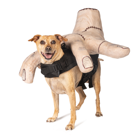 Entry image for Timon as "Thing" Parade Mascot 2024. Clicking this image will show a larger photo