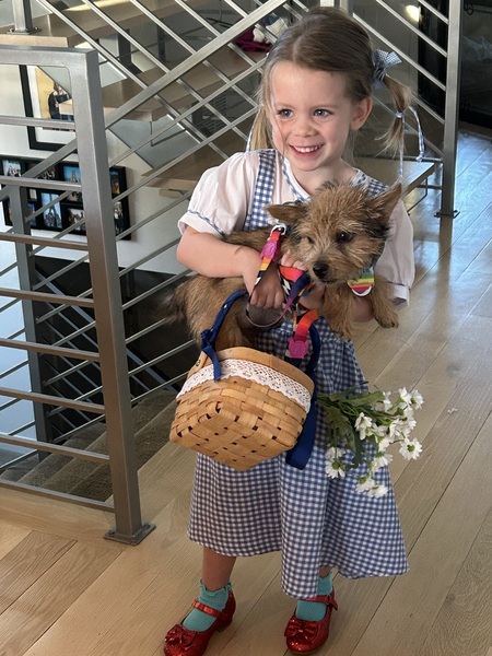 Entry image for Valentine as Toto with Dorothy !!! . Clicking this image will show a larger photo