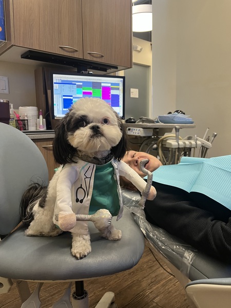Entry image for Marley DDS (dentist). Clicking this image will show a larger photo