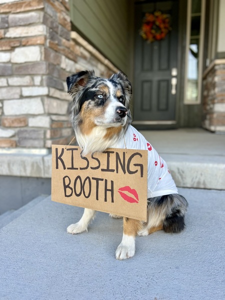Entry image for Zero Fox the Kissing Booth . Clicking this image will show a larger photo