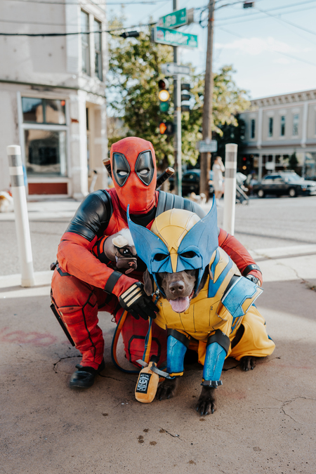 Entry image for Deadpool and Wooferine . Clicking this image will show a larger photo