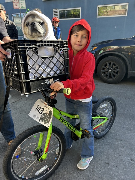 Entry image for Benson the pug as ET. Clicking this image will show a larger photo