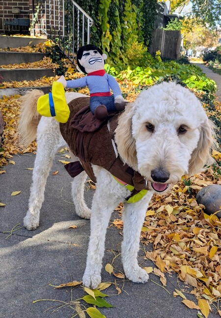 Entry image for Penny the rodeo bucking bronco!. Clicking this image will show a larger photo