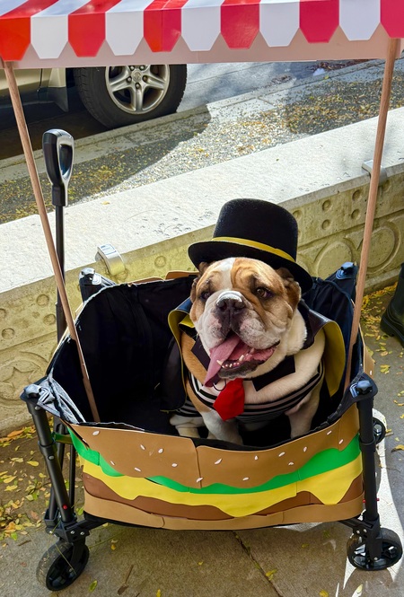Entry image for Poe the Hamburglar . Clicking this image will show a larger photo