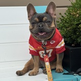 Entry image for Kelce