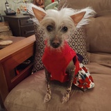 Entry image for Ellie 