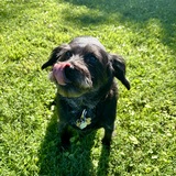 Entry image for Ruby Sue