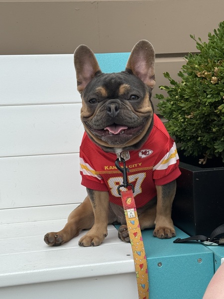 Entry image for Kelce. Clicking this image will show a larger photo