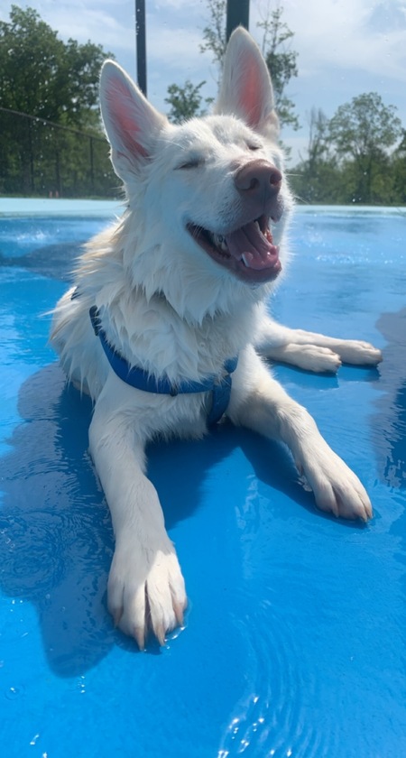 Jax