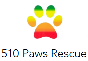 Logo for 510 Paws Rescue 2026 Calendar Photo Contest: Paws, Love & Second Chances