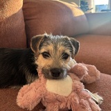 Entry image for Coraline Pink