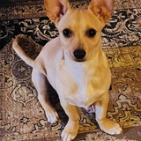 Entry image for Roxy Miller