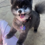 Entry image for Minnie Boo