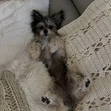 Entry image for Lulu