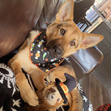 Entry image for Jett 