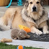 Entry image for Lou Reed