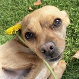 Entry image for Elbie