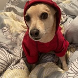 Entry image for Andy