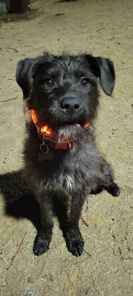 Entry image for Onyx. Clicking this image will show a larger photo