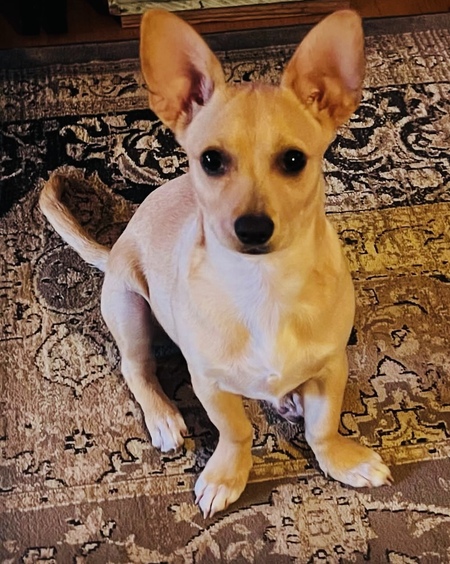 Entry image for Roxy Miller. Clicking this image will show a larger photo