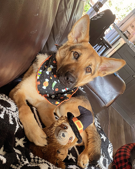 Entry image for Jett . Clicking this image will show a larger photo