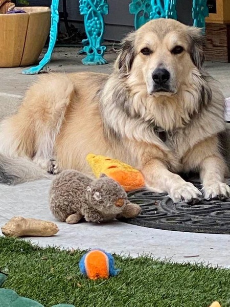 Entry image for Lou Reed. Clicking this image will show a larger photo