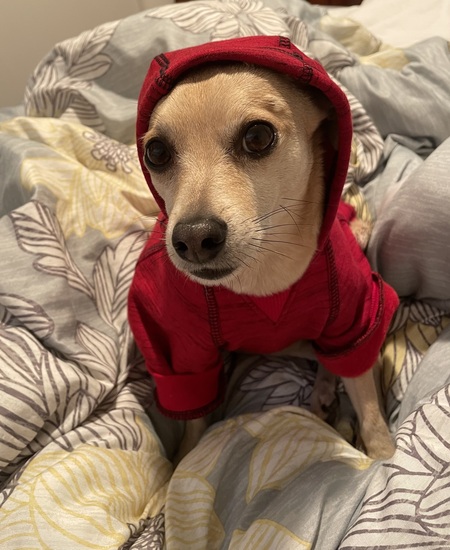 Entry image for Andy. Clicking this image will show a larger photo