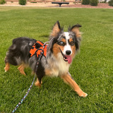 Entry image for Nuka