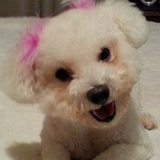 Entry image for Sadie