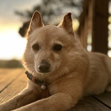 Entry image for Mabel