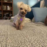 Entry image for Pocket