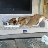 Entry image for Hobo Hank