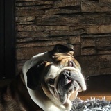 Entry image for FRANKIE