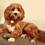 Entry image for Mabel