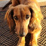 Entry image for Baily