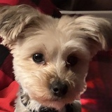 Entry image for Drew